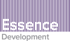Essence Development