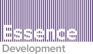 Essence Development Essence Development
